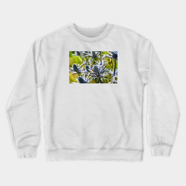 Honey bees & take off / Swiss Artwork Photography Crewneck Sweatshirt by RaphaelWolf